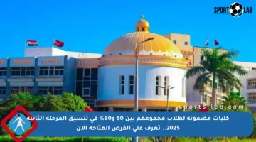 كليات مضمونة لطلاب مجموعهم بين 60 و80% في تنسيق المرحلة الثانية 2025.. تعرف على الفرص المتاحة الآن